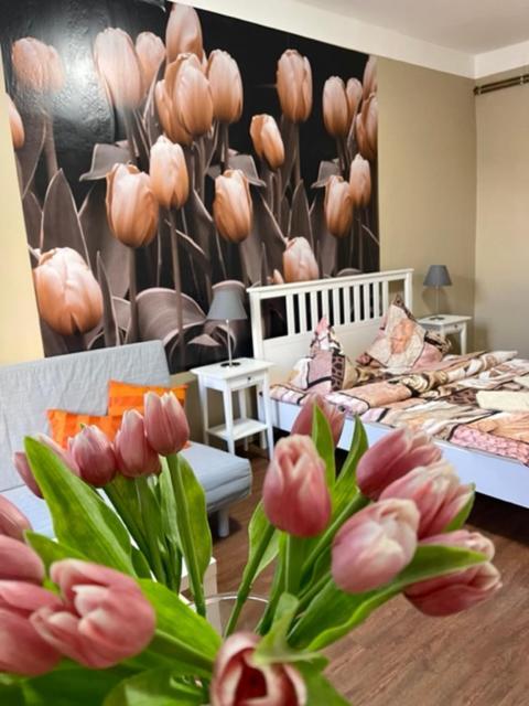 Apartman Galerie Decin Exterior foto